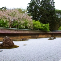 นั่งนับหินที่สวนหินเซ็นวัด Ryoanji